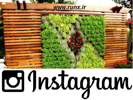 چوب پلاست رانکس | اینستاگرام