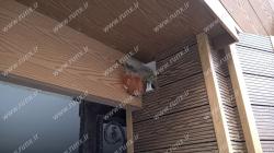 چوب نما نیاوران