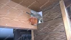 چوب نما نیاوران