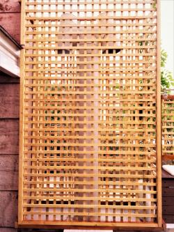 روف گاردن زعفرانیه 1