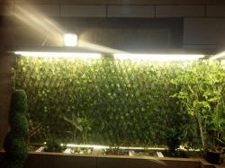 فلاورباکس فرمانیه