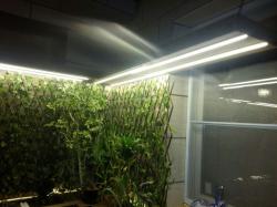 فلاورباکس فرمانیه