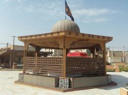 گنبد چوب پلاست