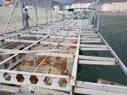 کفپوش چوبی اسکله